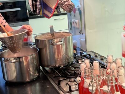 Bundesfreiwilliger 27+ für Obst & Gemüseverarbeitung