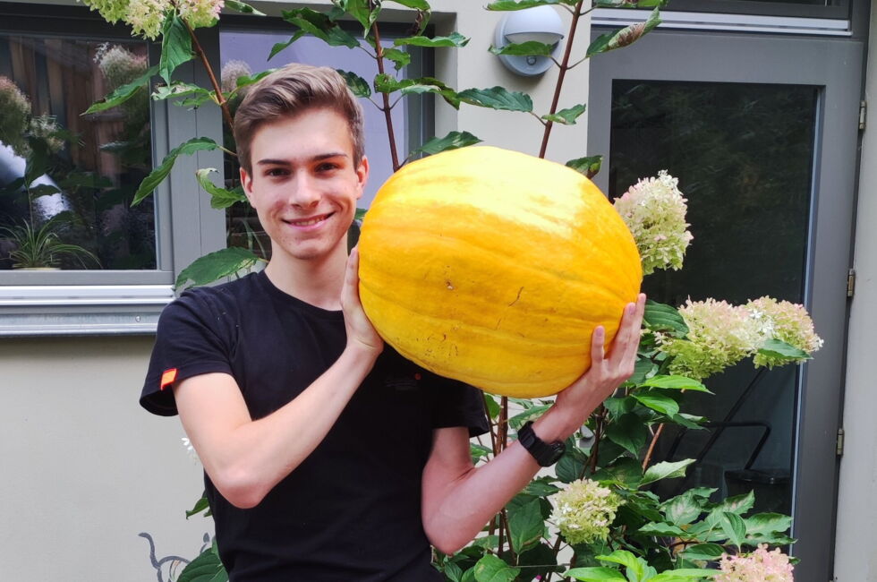 2023 Stellenangebot BFD 7