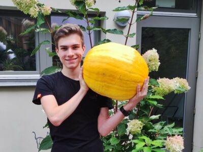 2023 Stellenangebot BFD 7