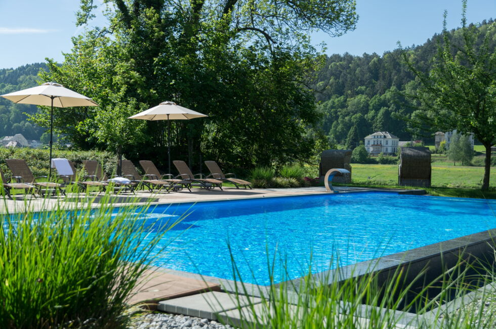Pura Parkhotel Bad Schandau Pool  2